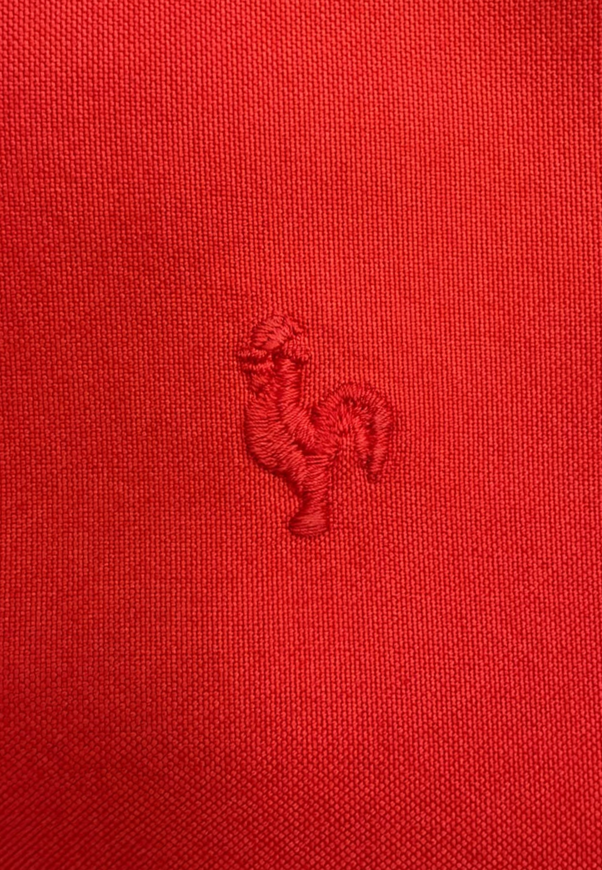Chemise Oxford à rayures vert foncé