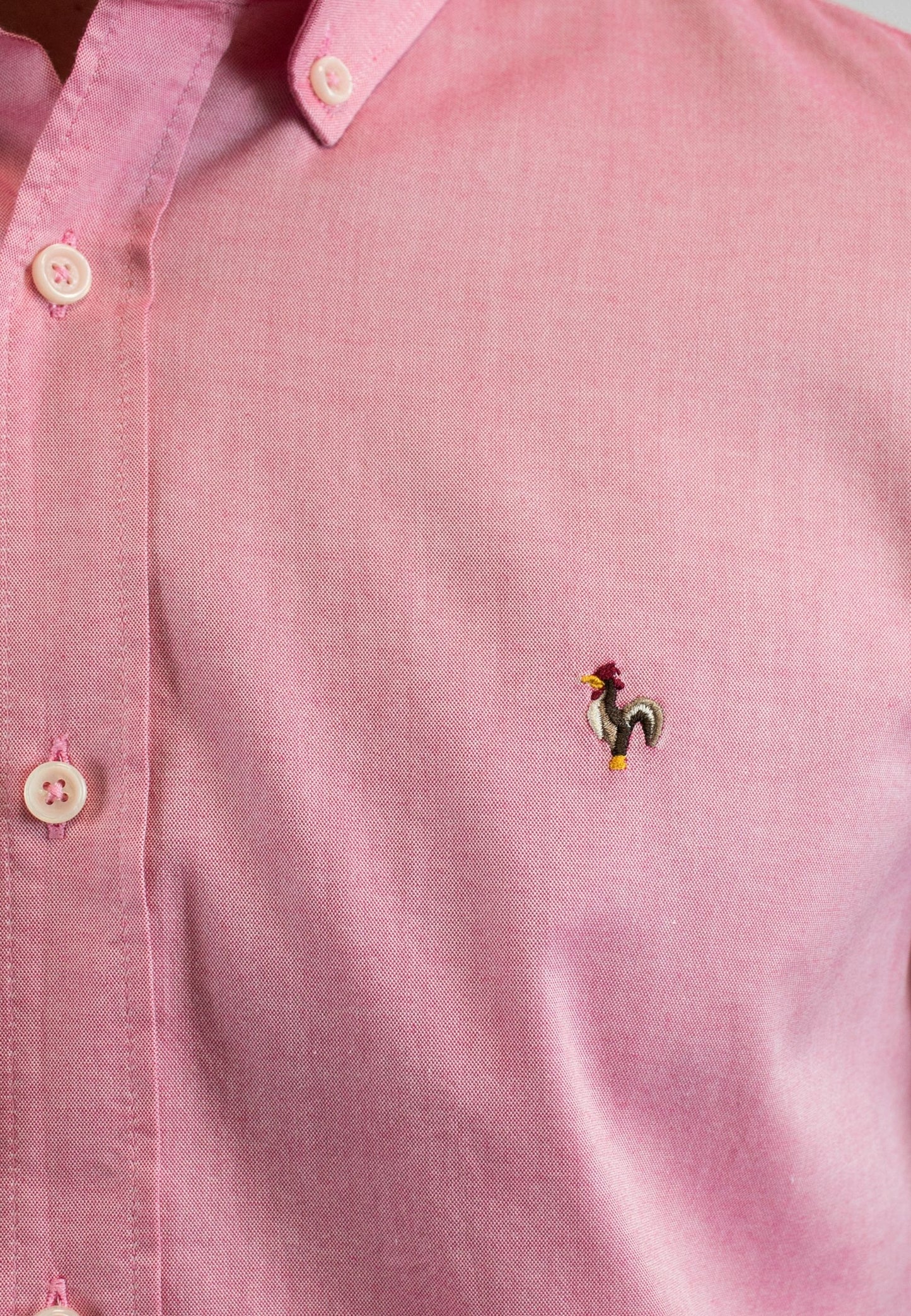 Camisa oxford lavado coral