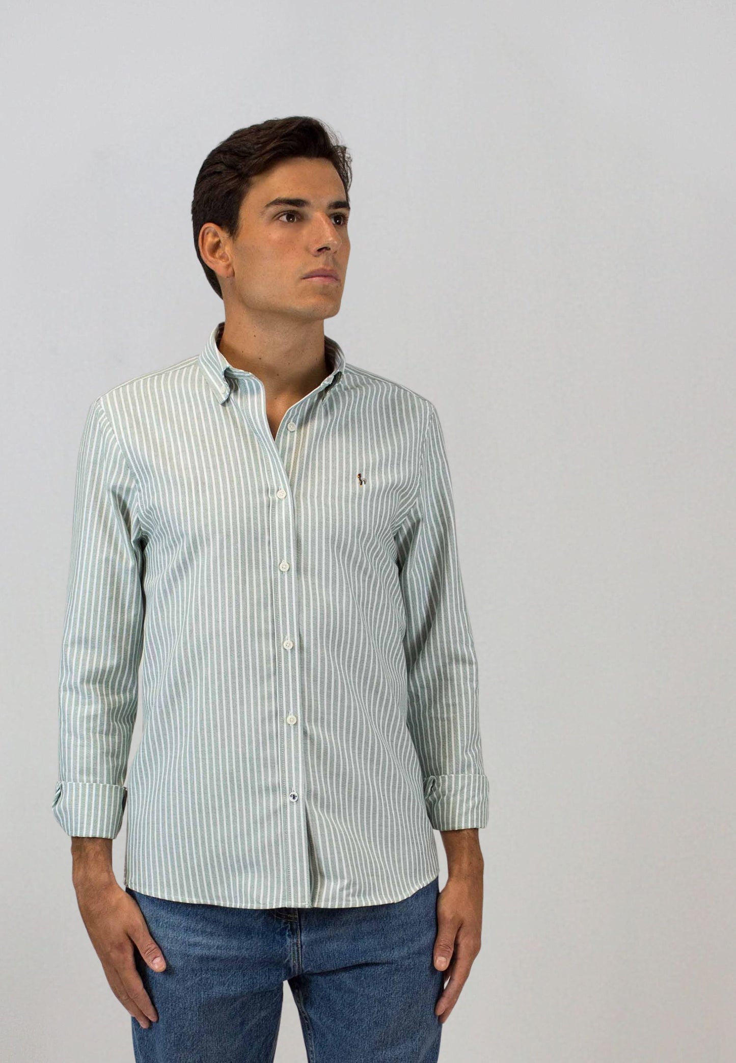 Camisa oxford de rayas anchas caqui