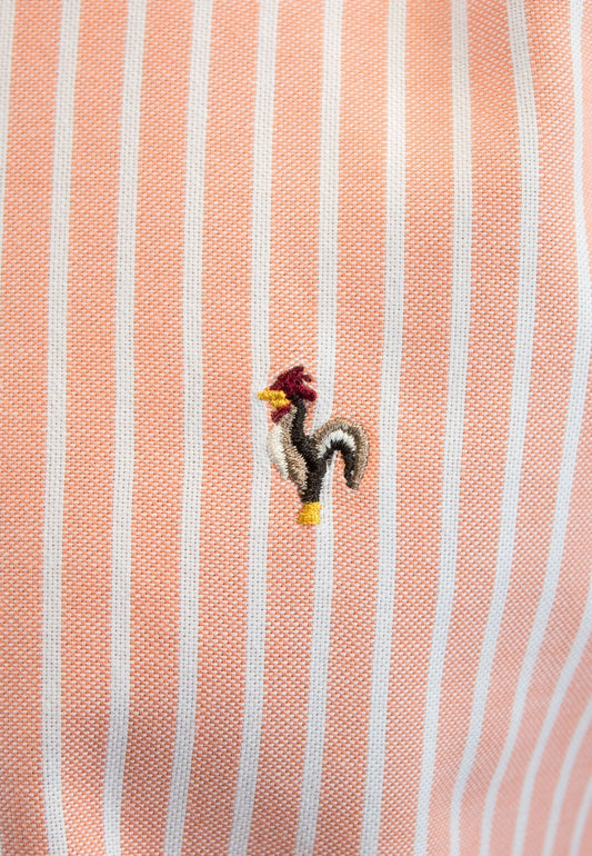 Camisa oxford de rayas anchas naranja