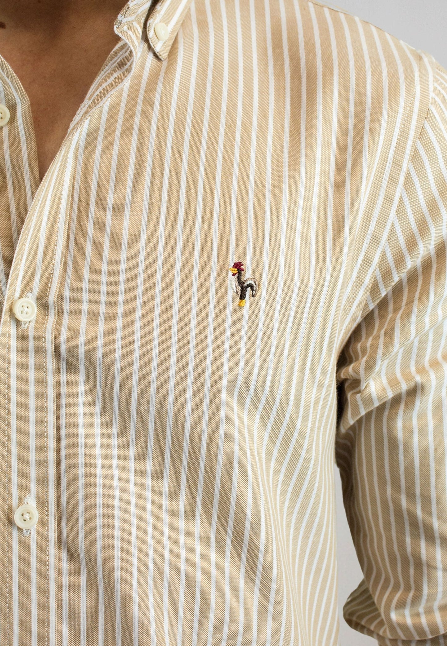 Camisa oxford de rayas anchas beige