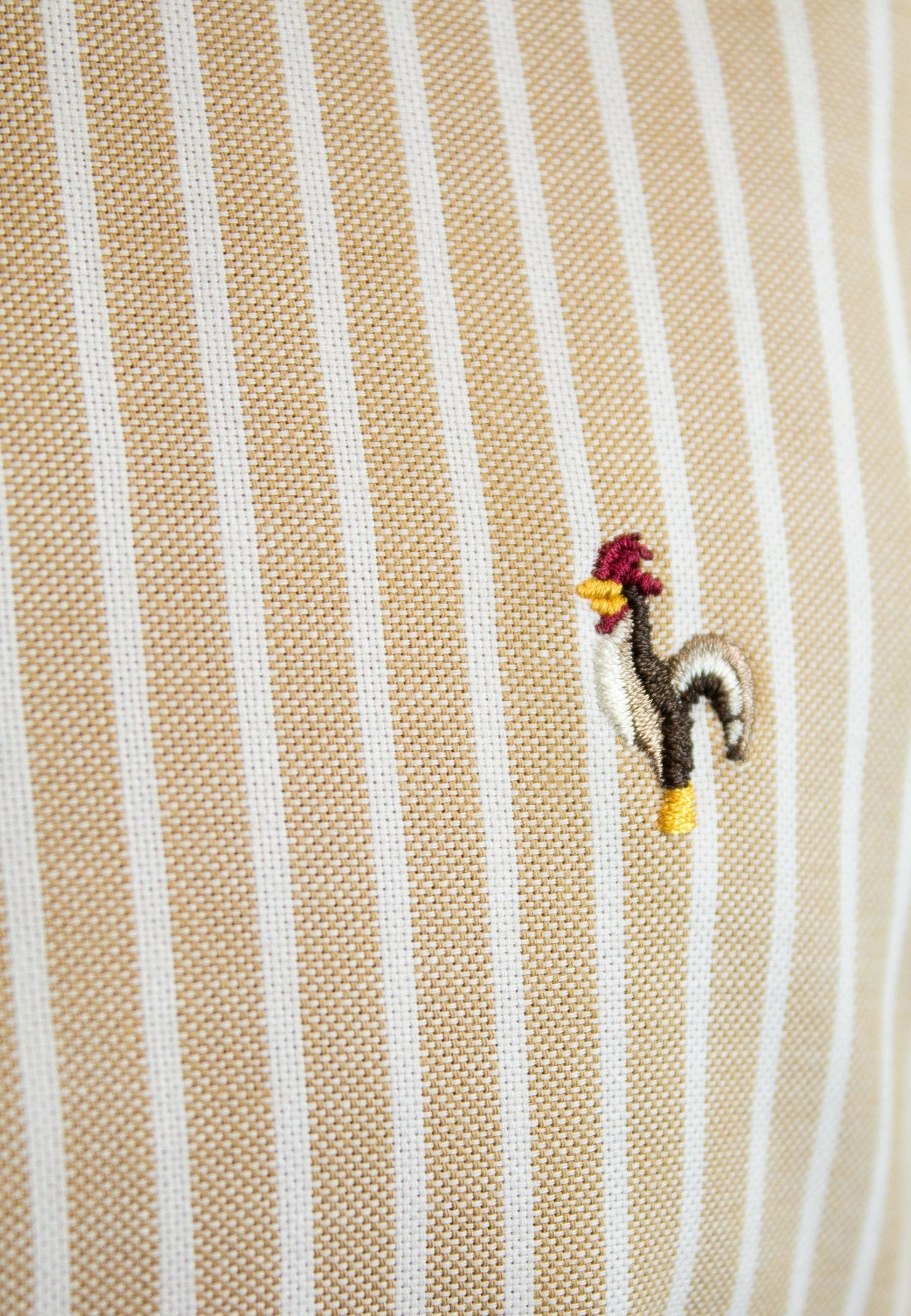 Camisa oxford de rayas anchas beige