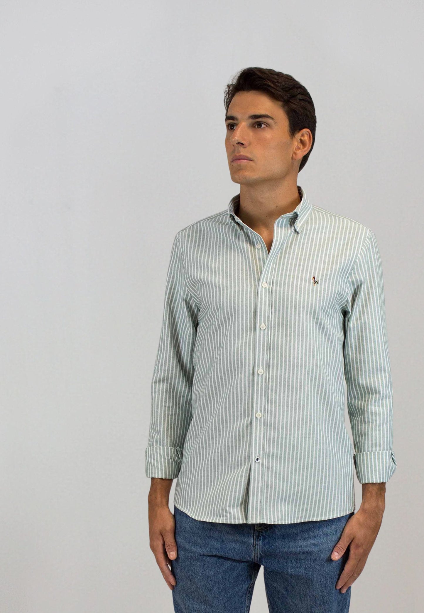 Camisa oxford de rayas anchas verde