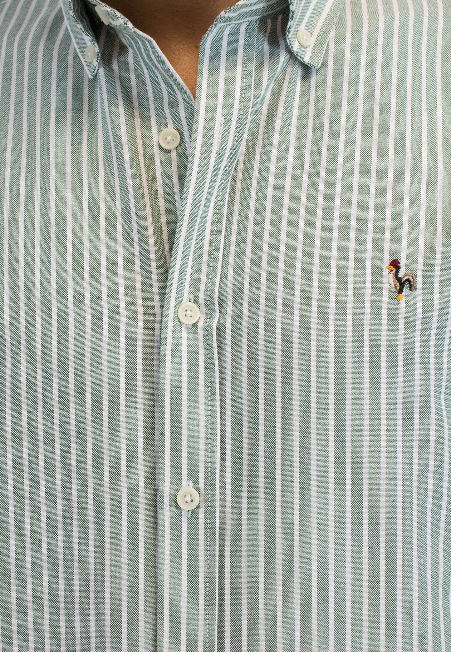 Camisa oxford de rayas anchas verde