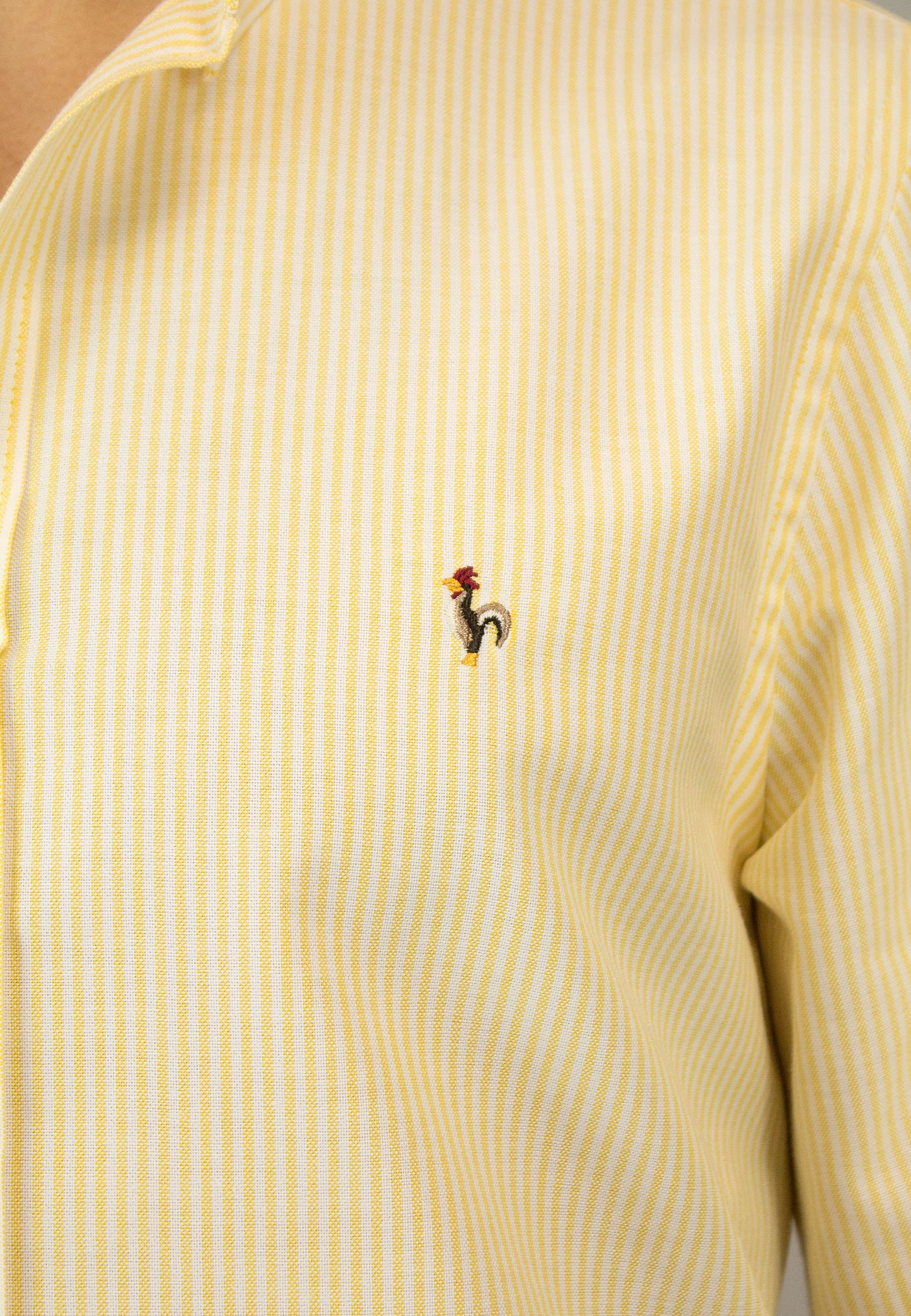Camisa oxford de rayas amarillo