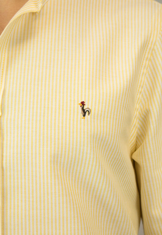 Camisa oxford de rayas amarillo