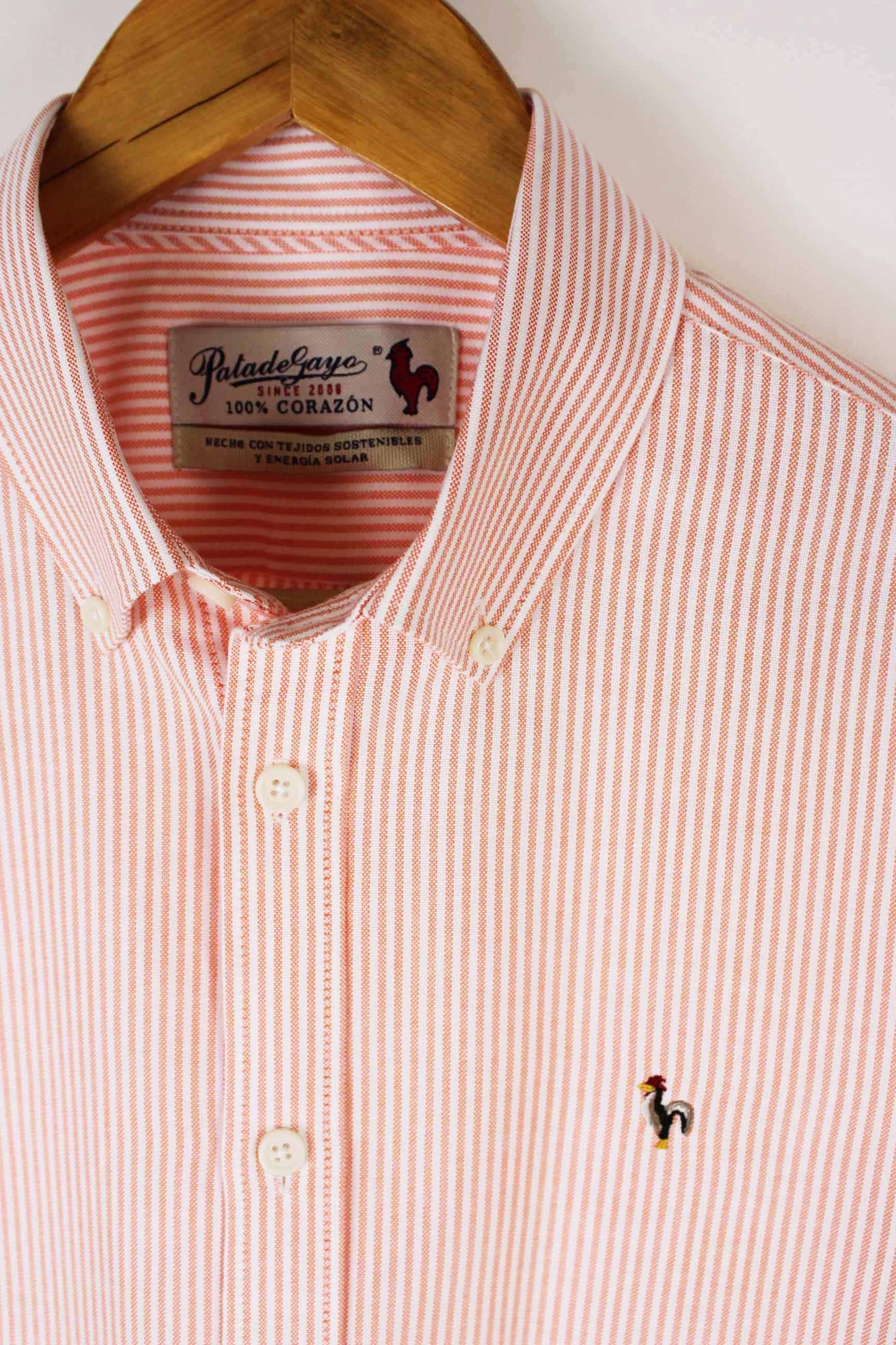 Camisa oxford de rayas naranja
