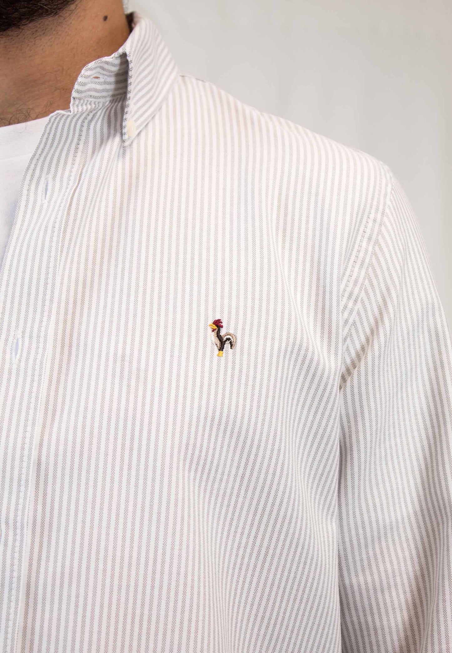 Camisa oxford de rayas beige