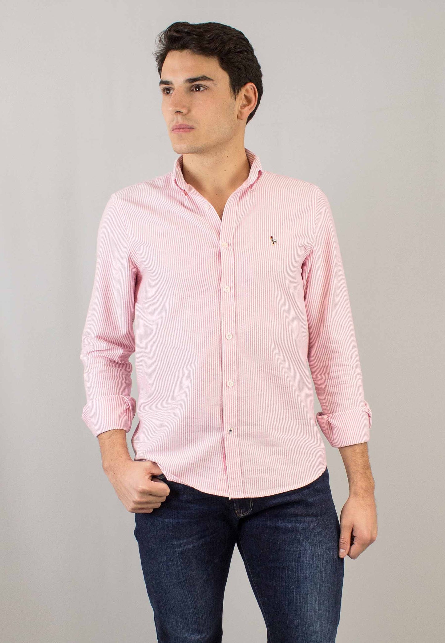 Camisa oxford de rayas rojo