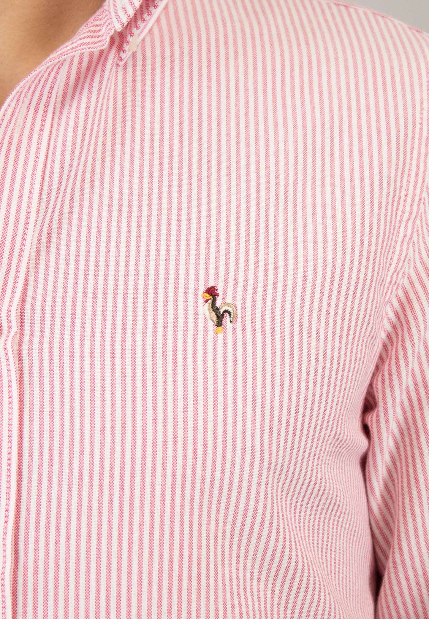 Camisa oxford de rayas rojo
