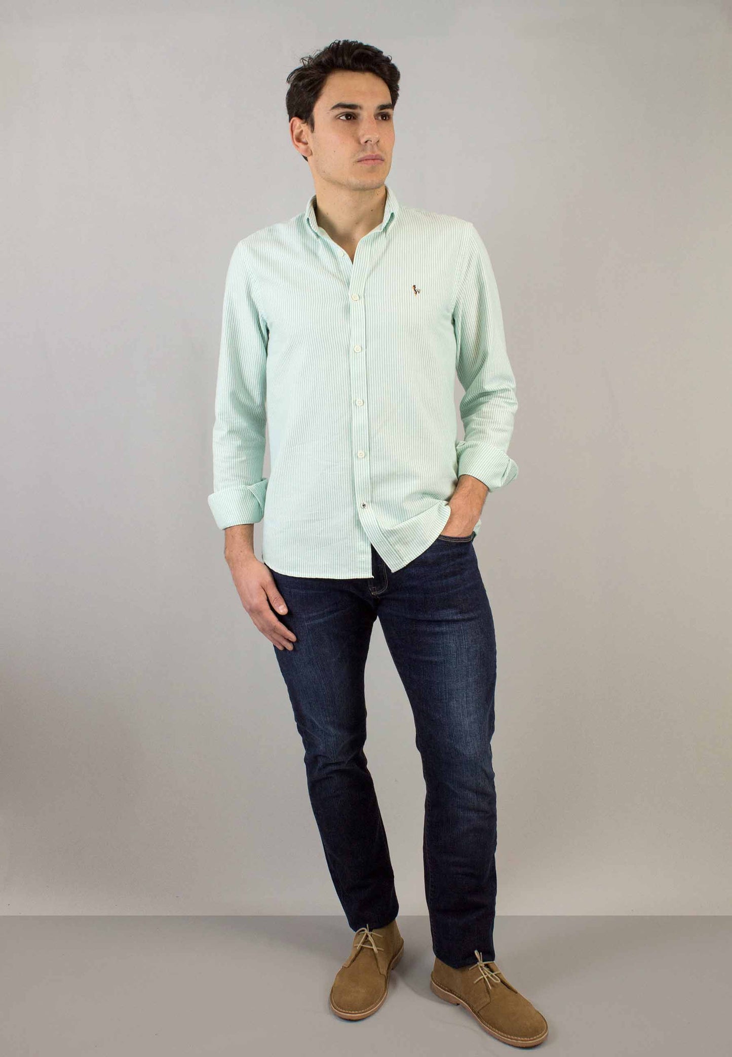 Camisa oxford de rayas manzana