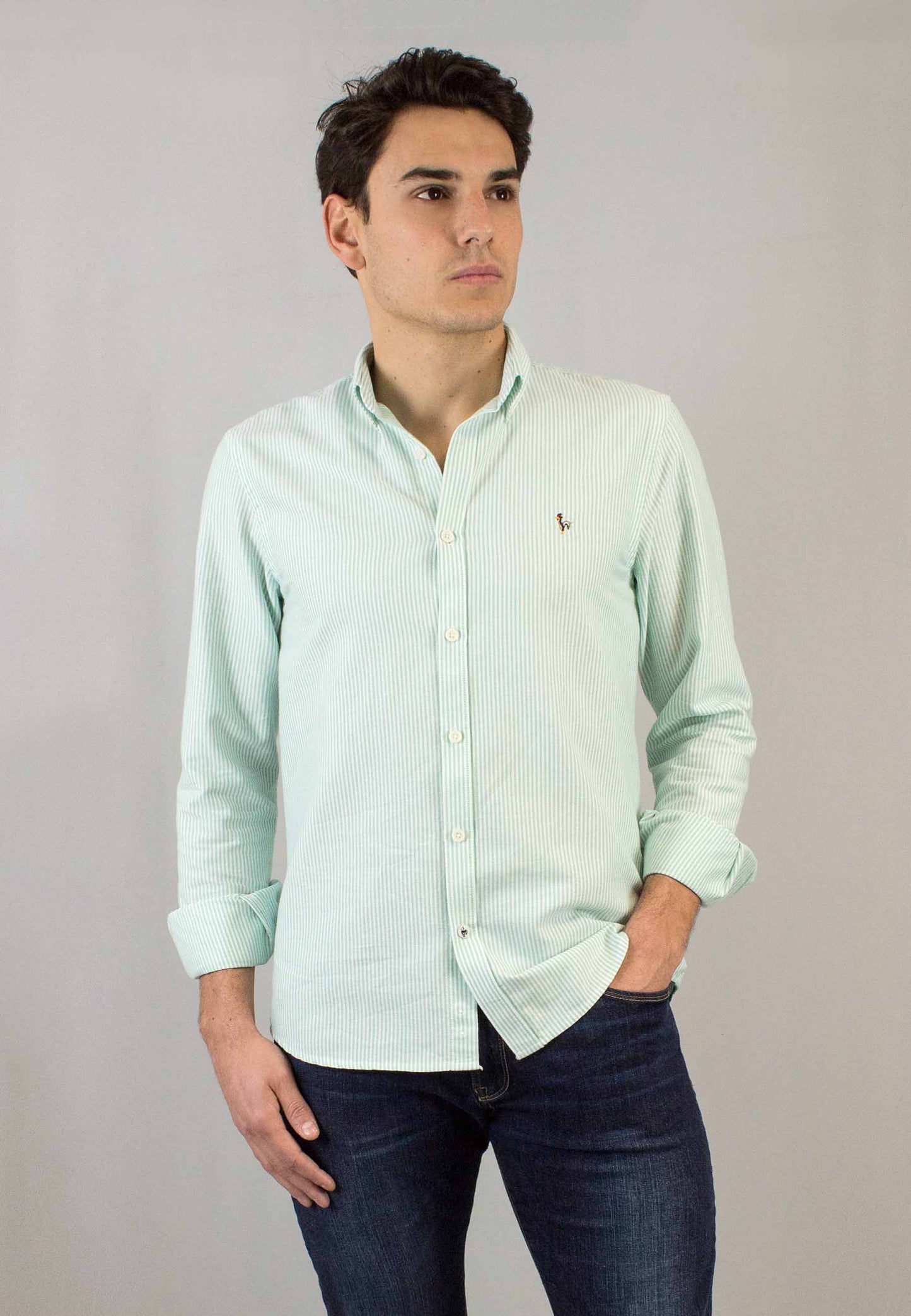 Camisa oxford de rayas manzana