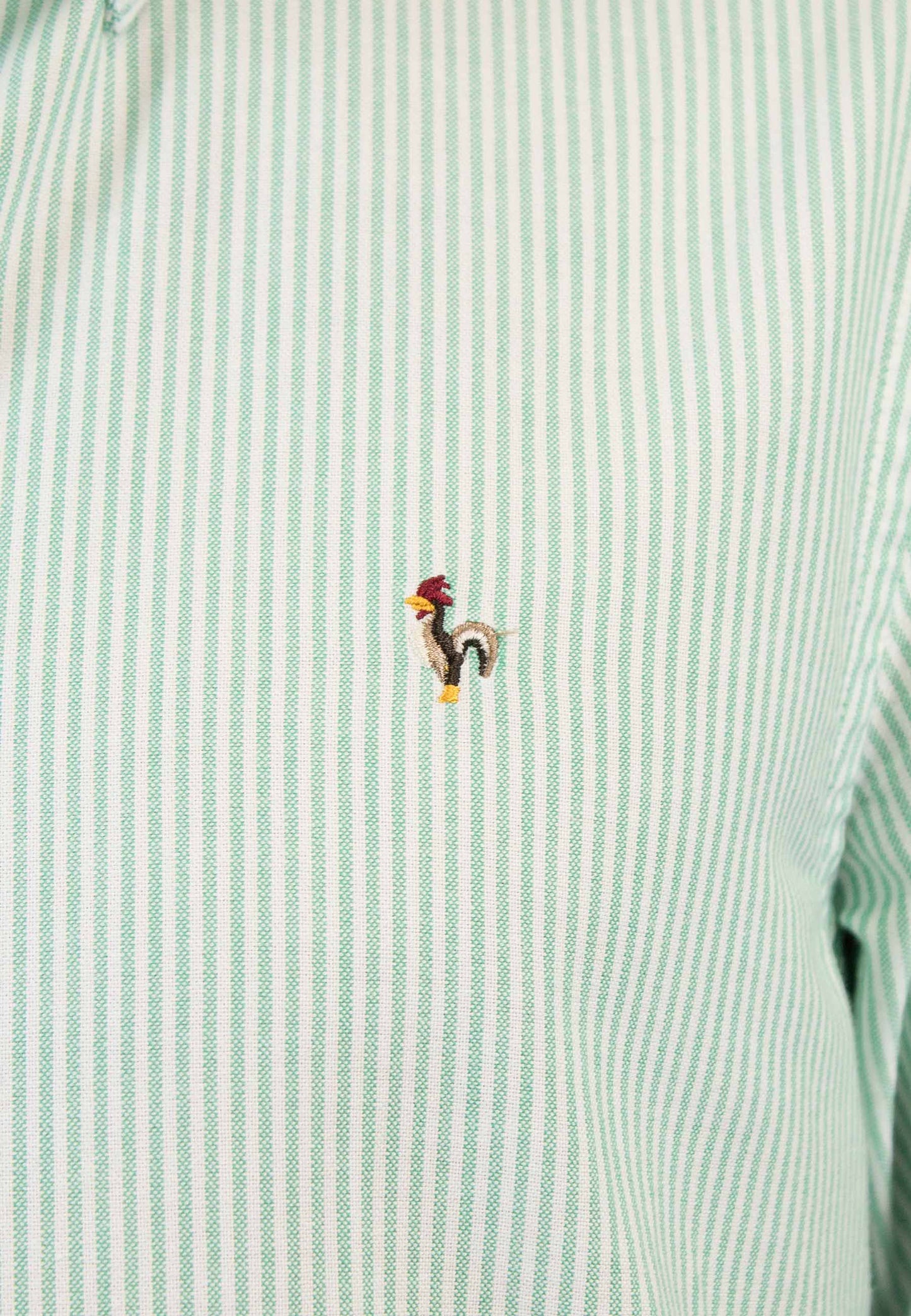 Camisa oxford de rayas manzana