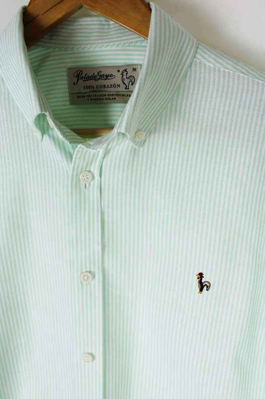 Chemise Oxford à rayures pomme