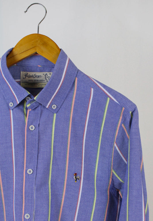 Navy blue multicoloured vertical striped shirt