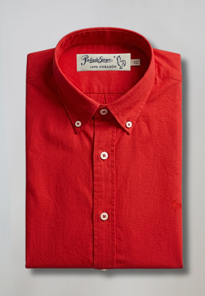 Chemise Oxford à rayures vert foncé