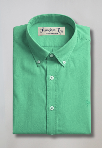 Dark green striped oxford shirt