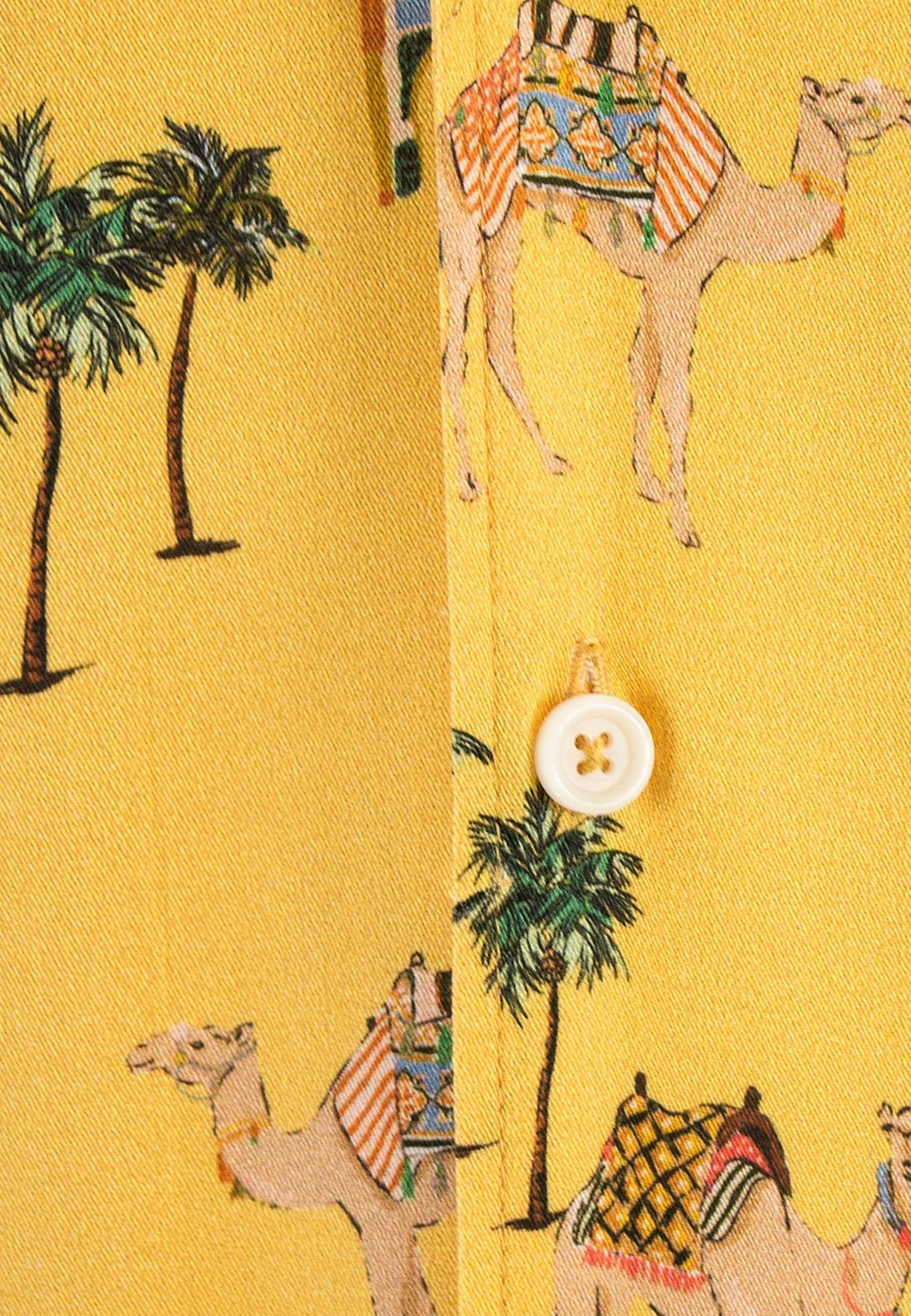 Camisa manga corta estampado camellos