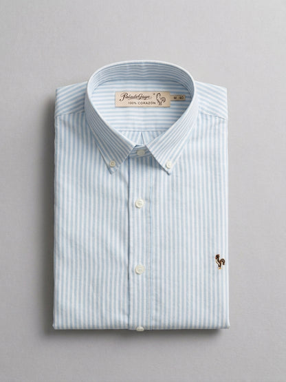 Chemise Oxford à rayures vert foncé