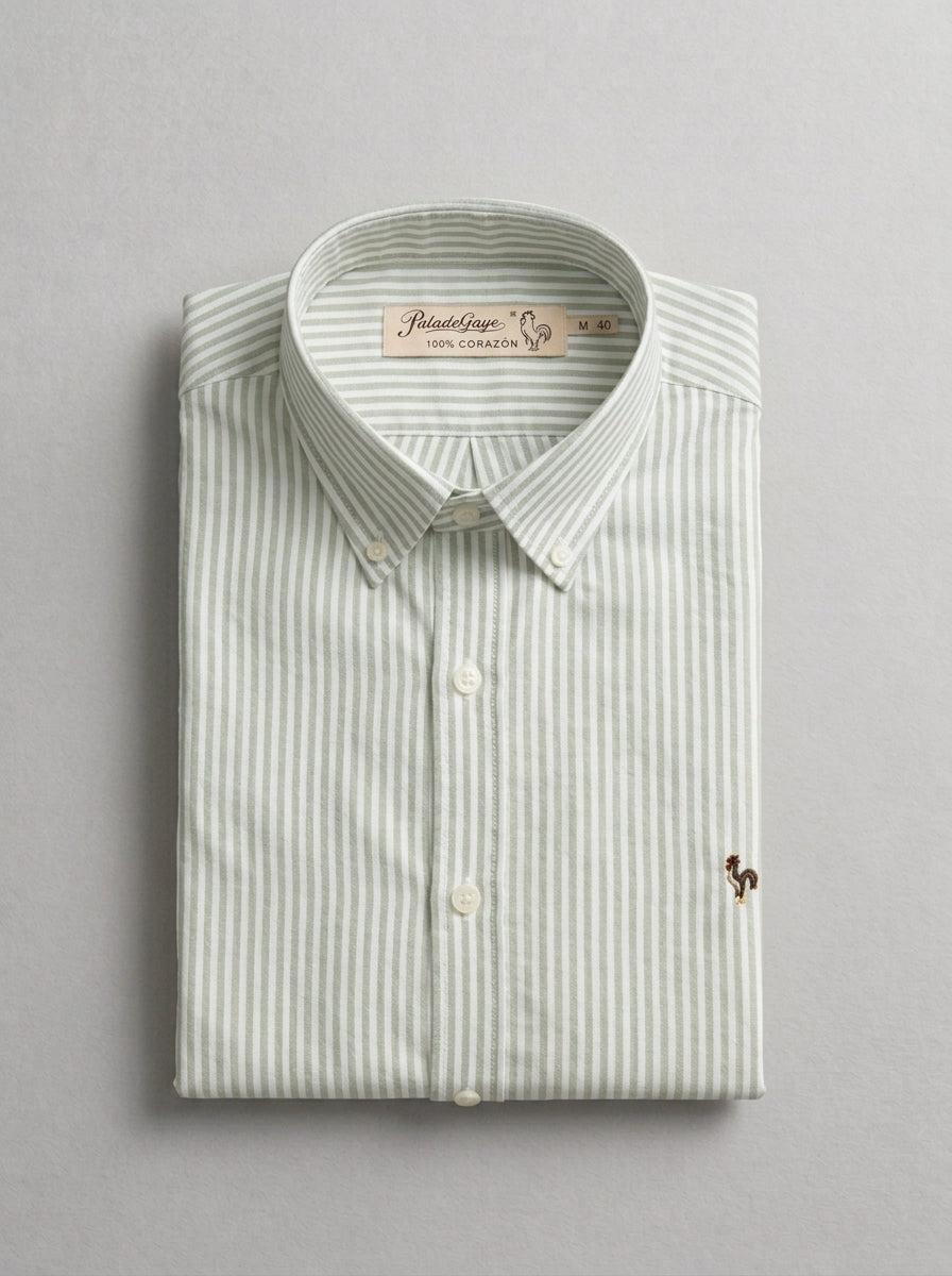 Chemise Oxford à rayures vert foncé