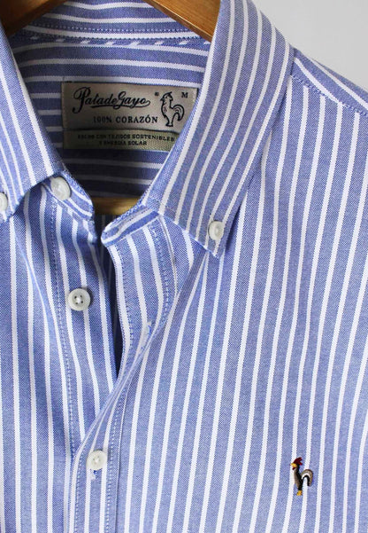 Camisa oxford de rayas anchas marino