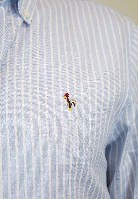 Camisa oxford de rayas anchas celeste