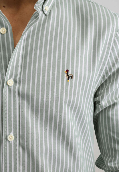 Camisa oxford de rayas anchas caqui