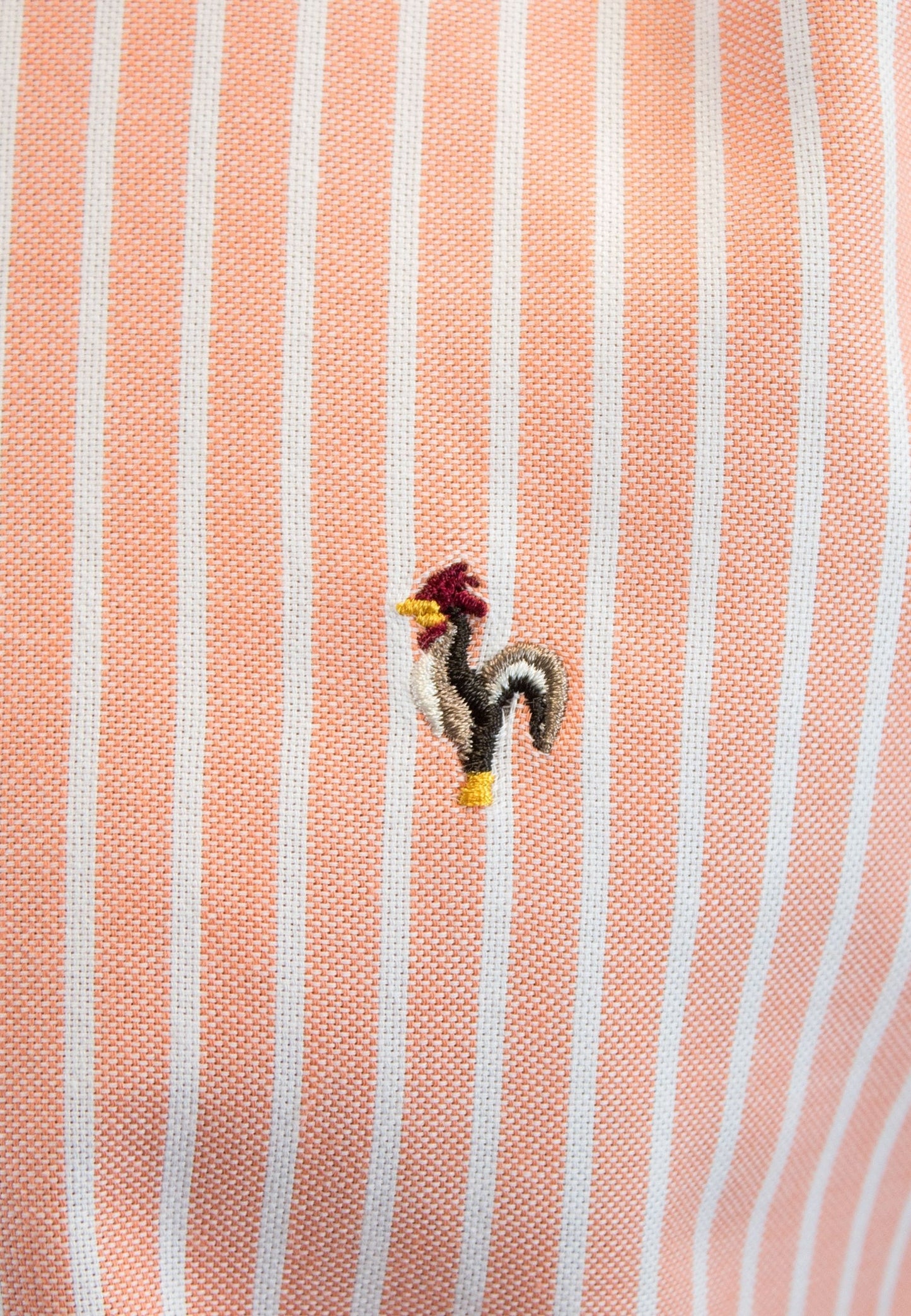 Camisa oxford de rayas anchas naranja