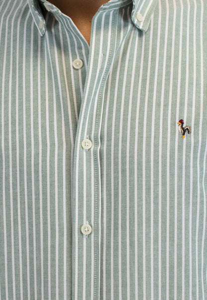 Camisa oxford de rayas anchas verde
