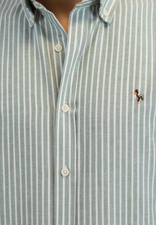 Camisa oxford de rayas anchas verde