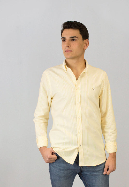Camisa oxford de rayas amarillo
