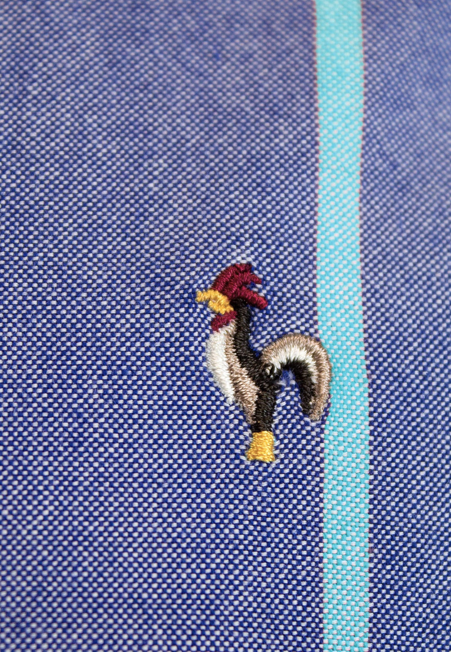 Camisa oxford lavado raya turquesa