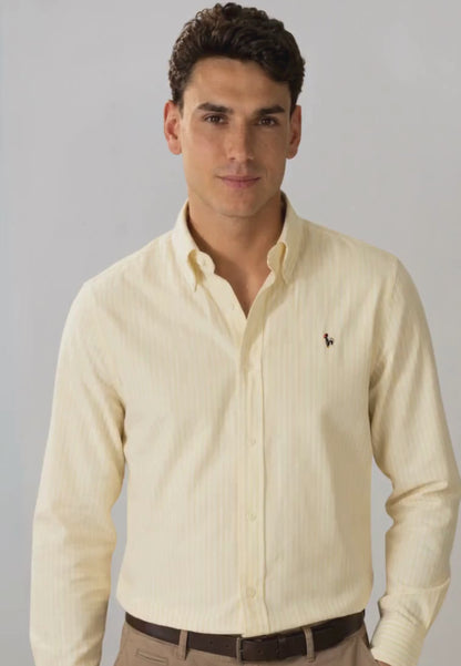 Dark green striped oxford shirt
