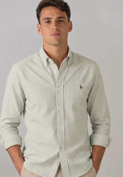 Chemise Oxford à rayures vert foncé