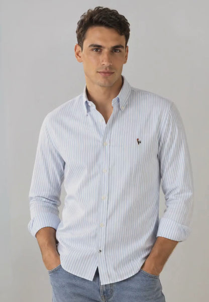Chemise Oxford à rayures vert foncé